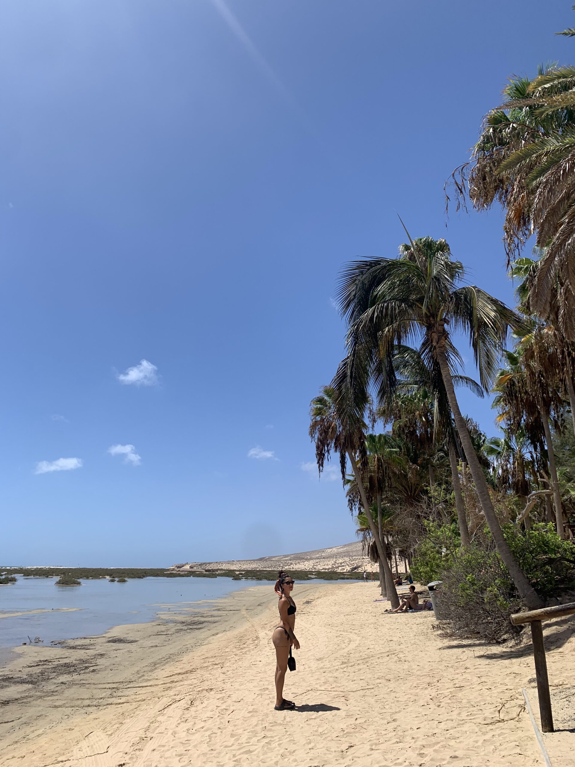 Wild Fuerteventura : Le spiagge da sogno